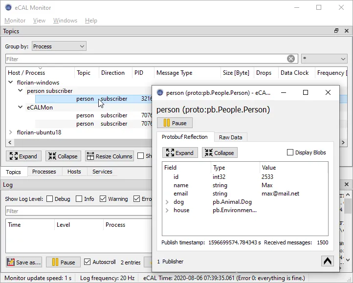 eCAL Monitor reflection window